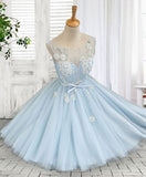 solvbao Light Blue Round Neckline Short Party Dress , Homecoming Dresses