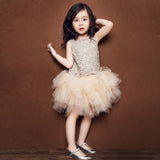 SOLVBAO Korean Style Girls' Puffy Tulle Skirt Summer New Little Girl Dress Cake Dress Lace Baby Dress Performance