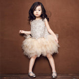 SOLVBAO Korean Style Girls' Puffy Tulle Skirt Summer New Little Girl Dress Cake Dress Lace Baby Dress Performance