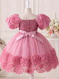 Toddler Girl's Sequin Flower Applique Tutu Dress for Wedding Birthday Party Baptism Christmas Ball Gown