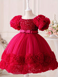 Toddler Girl's Sequin Flower Applique Tutu Dress for Wedding Birthday Party Baptism Christmas Ball Gown