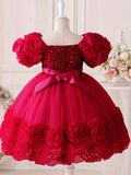 Toddler Girl's Sequin Flower Applique Tutu Dress for Wedding Birthday Party Baptism Christmas Ball Gown