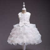 Best Seller in HOT and NEW Children's Dress Dress Flower Girl Net Yarn Cake Skirt Girl Princess Dress Girl's One Year Old Celebration Dress