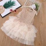 SOLVBAO Korean Style Girls' Puffy Tulle Skirt Summer New Little Girl Dress Cake Dress Lace Baby Dress Performance