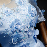 Solvbao Light Blue Short Sleeves with Lace Flowers Long Sweet 16 Dress, Blue Party Dresses