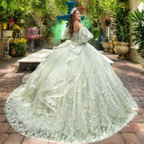 Sage Green Shiny Quinceanera Dresses Applique Flower Ball Gown Birthday Party Dress Lace Up Graduation Gown Sweetheart de 15 anos