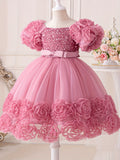 Toddler Girl's Sequin Flower Applique Tutu Dress for Wedding Birthday Party Baptism Christmas Ball Gown