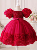 Toddler Girl's Sequin Flower Applique Tutu Dress for Wedding Birthday Party Baptism Christmas Ball Gown