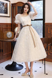 solvbao White Tulle Short Sleeve Prom Dress, Cute A-Line Party Homecoming Dress