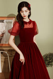 solvbao Burgundy Velvet Short Prom Dresses, A-Line Homecoming Dresses