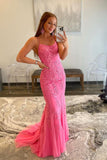 solvbao Mermaid Lace Long Prom Dresses, Lace Backless Evening Dresses