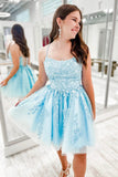 solvbao Blue Tulle Lace Short Prom Dresses, Cute A-Line Homecoming Dresses