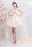 solvbao Champagne Tulle Lace Short Prom Dresses, A-Line Lace Party Dresses