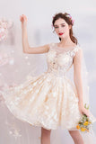 solvbao Champagne Tulle Lace Short Prom Dresses, A-Line Lace Party Dresses