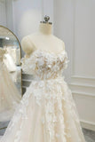 solvbao Champagne Tulle Lace Long Prom Dress, A-Line Evening Gown