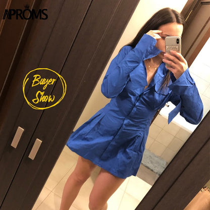 Christmas Gift Aproms Elegant Blue Cotton Shirt Dress Women Spring  High Fashion Solid Color Flared Sleeve Bodycon Mini Dresses OL Vestidos