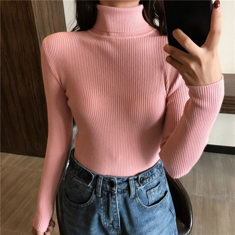 Christmas Gift  Autumn New Slim Long Sleeve Jumper Women Turtleneck Knitted Pullover Winter Sweater Women Soft Warm Sweater Pull Femme 6897