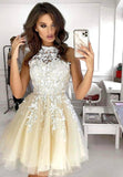 solvbao Cute Lace Short Prom Dresses, A-Line Homecoming Dresses