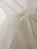 solvbao Light Champagne Ball Gown Tulle Sweetheart Long Prom Dress, Beautiful Formal Dress Sweet 16 Dress